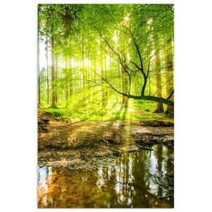 MuchoWow PLAGÁT Les - Krajina - Voda - Stromy - Slnko - Zelená - Príroda 80x120 cm vyobraziť