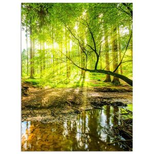 MuchoWow PLAGÁT Les - Krajina - Voda - Stromy - Slnko - Zelená - Príroda 60x80 cm vyobraziť