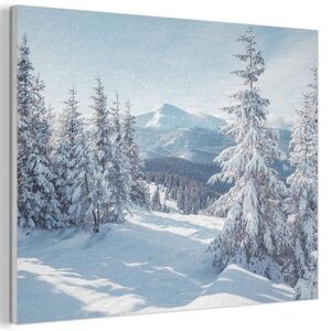 MuchoWow AKUSTICKÝ OBRAZ Zimná krajina - Príroda - Hory - Stromy - Sneh 80x60 cm vyobraziť