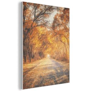 MuchoWow AKUSTICKÝ OBRAZ Les - Jeseň - Stromy - Lesná cesta - Príroda 60x80 cm vyobraziť