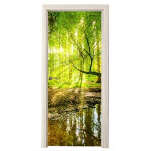MuchoWow NÁLEPKA NA DVERE Les - Krajina - Voda - Stromy - Slnko - Zelená - Príroda 95x235 cm vyobraziť
