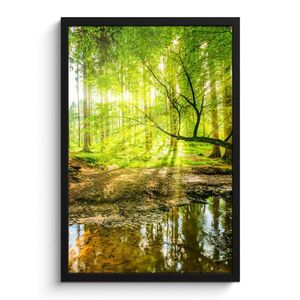 MuchoWow ZARÁMOVANÝ PLAGÁT Les - Krajina - Voda - Stromy - Slnko - Zelená - Príroda 40x60 cm vyobraziť