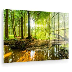 MuchoWow OBRAZ NA AKRYLOVOM SKLE Les - Krajina - Voda - Stromy - Slnko - Zelená - Príroda 90x60 cm vyobraziť