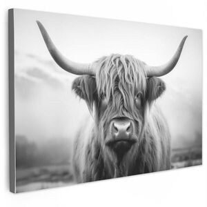 MuchoWow OBRAZ NA PLÁTNE Škótsky horal - hmla - čierna - biela 90x60 cm vyobraziť