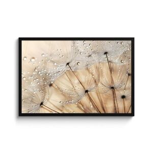 MuchoWow ZARÁMOVANÝ PLAGÁT Púpava - Abstraktné - Príroda - Béžová 90x60 cm vyobraziť