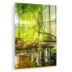 MuchoWow OBRAZ NA AKRYLOVOM SKLE Les - Krajina - Voda - Stromy - Slnko - Zelená - Príroda 60x80 cm vyobraziť