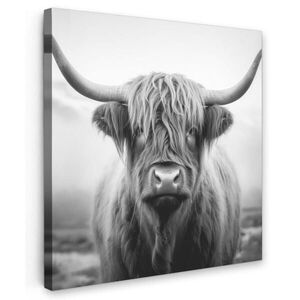 MuchoWow OBRAZ NA PLÁTNE Škótsky horal - hmla - čierna - biela 20x20 cm vyobraziť