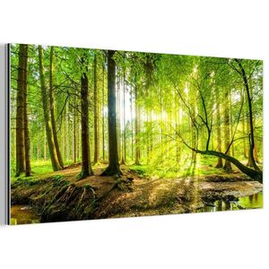 MuchoWow KOVOVÝ OBRAZ Les - Krajina - Voda - Stromy - Slnko - Zelená - Príroda 80x40 cm vyobraziť