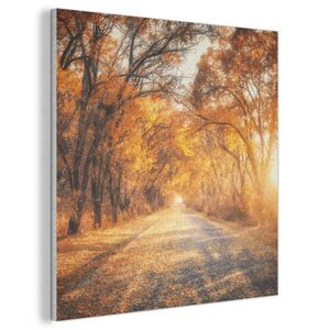MuchoWow AKUSTICKÝ OBRAZ Les - Jeseň - Stromy - Lesná cesta - Príroda 80x80 cm vyobraziť