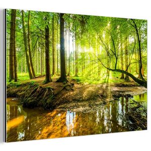 MuchoWow KOVOVÝ OBRAZ Les - Krajina - Voda - Stromy - Slnko - Zelená - Príroda 30x20 cm vyobraziť