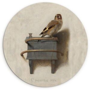 MuchoWow OBRAZ NA STENU Malá zlatá rybka - Starý majster - Carel Fabritius 60x60 cm vyobraziť