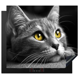 MuchoWow KRYT NA SPORÁK Mačka - Sivá - Zvieratá - Mačka 58.3x51.3 cm vyobraziť