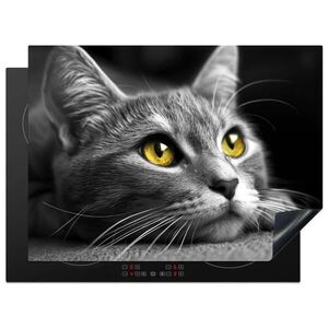 MuchoWow KRYT NA SPORÁK Mačka - Sivá - Zvieratá - Mačka 71x52 cm vyobraziť