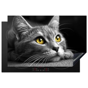 MuchoWow KRYT NA SPORÁK Mačka - Sivá - Zvieratá - Mačka 81x52 cm vyobraziť