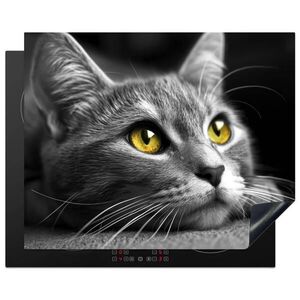 MuchoWow KRYT NA SPORÁK Mačka - Sivá - Zvieratá - Mačka 65x52 cm vyobraziť