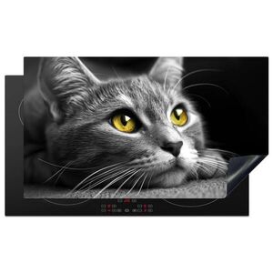 MuchoWow KRYT NA SPORÁK Mačka - Sivá - Zvieratá - Mačka 90x52 cm vyobraziť