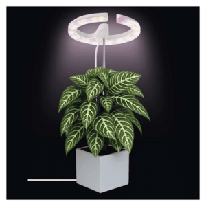 Rastúca lampa EMOS Z7902 Grow 8W vyobraziť