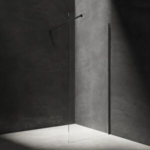 OMNIRES - MARINA walk-in, 120 cm čierna mat / transparent /BLMTR/ DNR12XBLTR vyobraziť