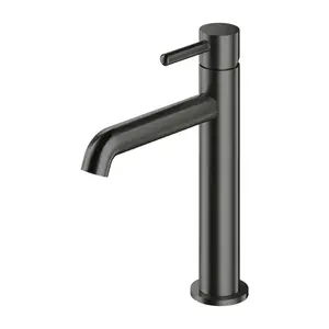 OMNIRES - Y umývadlová batéria, 23 cm (hlavica 25 mm), grafit kartáčovaná Y1212CGR vyobraziť