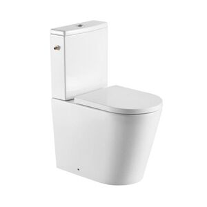 Wc kombi komplet SAT Brevis vrátane dosky softclose, vario odpad SATBRE031RREXVP SATBRE031RREXVP vyobraziť