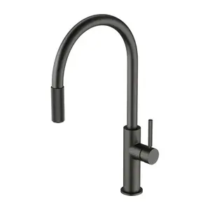 OMNIRES - SWITCH kuchynská batéria s vyberateľnou výtokovou armatúrou pre pripojenie filtračnej sady, brúsený grafit SW9059GR vyobraziť