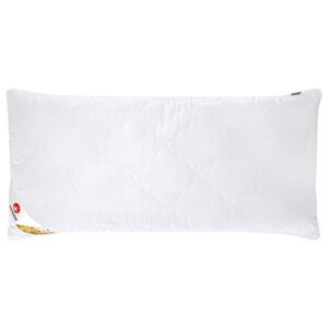 LIVARNO® Vankúš Polygiene®, 80 x 40 cm vyobraziť