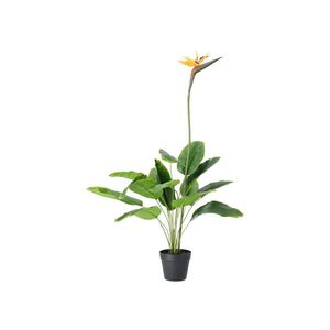 LIVARNO® Umelá rastlina, 125 cm (strelícia) vyobraziť