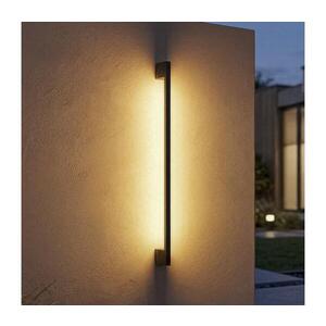45873 - LED vonkajšie nástenné svietidlo YALTE LED/12W/230V 3000/4000/6500K IP54 čierna 45873 vyobraziť