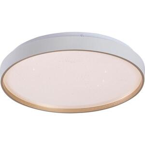 Rabalux 71452 - LED stmievateľné stropné svietidlo ZERAVA LED/34W/230V 3000-6500K pr. 38 cm + diaľkové ovládanie 71452 vyobraziť