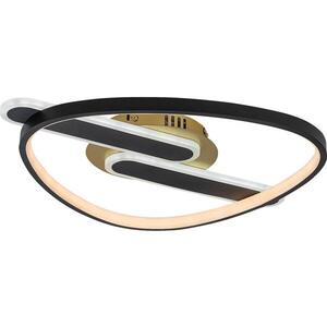 Rabalux 71467 - LED stmievateľné stropné svietidlo BRANTIEL LED/60W/230V 3000-6000K 53x45 cm + diaľkové ovládanie 71467 vyobraziť
