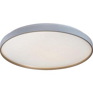 Rabalux 71454 - Stmievateľné LED stropné svietidlo ZERAVA LED/80W/230V 3000-6500K priemer 77 cm + diaľkové ovládanie 71454 vyobraziť