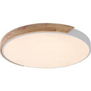 Rabalux 71419 - LED stropné svietidlo MAPLE2 40W/230V 3000/4000/6500K biela/dub pr.61 cm 71419 vyobraziť
