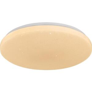 Rabalux 71445 - stmievateľné LED stropné svietidlo DANNY 2 LED/22W/230V 3000-6500K priemer 33 cm + diaľkové ovládanie 71445 vyobraziť