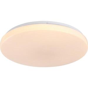 Rabalux 71443 - LED stmievateľné stropné svietidlo DANNY 2 LED/60W/230V 3000-6500K priemer 58 cm + diaľkové ovládanie 71443 vyobraziť