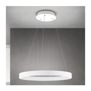 Orion - LED stmievateľný luster na lanku KOLK LED/60W/230V 2700/3000/4000K pr. 60 cm biela HL 6-1717/60 weiß vyobraziť