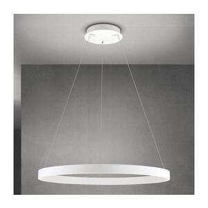 Orion - LED stmievateľný luster na lankách KOLK LED/80W/230V 2700/3000/4000K priemer 80 cm biela HL 6-1717/80 weiß vyobraziť