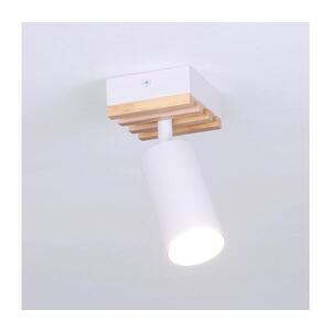 Brilagi - Bodové svietidlo SELE WOOD ACOUSTIC 1xGU10/30W/230V biela/drevo WO-OEM-25CF-B01-WHT vyobraziť