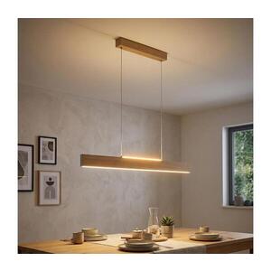 Eglo 39344 - LED závesné svietidlo na lanku CLIMENE LED/17W/230V + LED/4, 2W dub 39344 vyobraziť