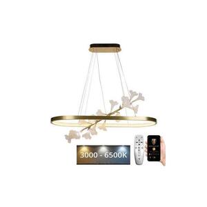 LED Stmievateľný luster na lanku LED/65W/230V 3000-6500K + diaľkové ovládanie J5304/C vyobraziť