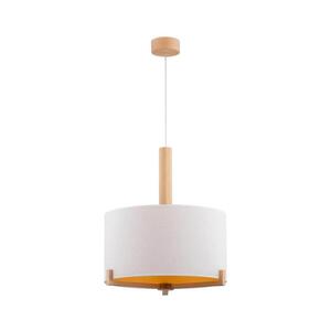Luster na lanku FORTA 1xE27/40W/230V 61199 vyobraziť