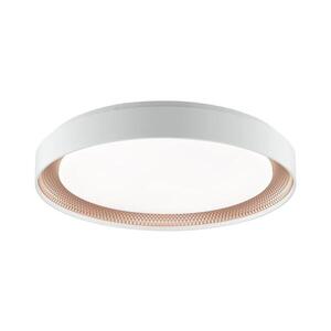 Brilliant - Stmievateľné LED stropné svietidlo WALDO LED/36W/230V biela/ružové zlato + diaľkový ovládač G82016/85 vyobraziť