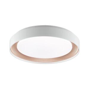 Brilliant - LED stmievateľné stropné svietidlo WALDO LED/24W/230V biela/ružovo-zlatá + DO G82015/85 vyobraziť