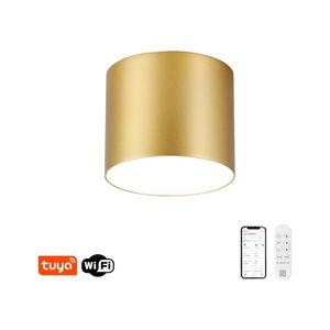 NEO 07317L - LED stmievateľné stropné svietidlo RONDATE 18W/230V 11, 5 cm Wi-Fi Tuya zlaté 07317L vyobraziť