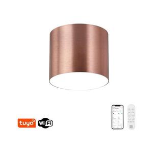 NEO 07319L - LED stmievateľné stropné svietidlo RONDATE 18W/230V 11, 5 cm Wi-Fi Tuya ružové 07319L vyobraziť