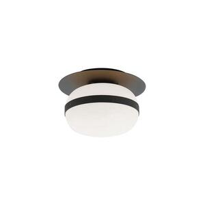 Viokef Lighting Stropné svietidlo PALMA 1xE27/40W/230V čierne 4245700 vyobraziť