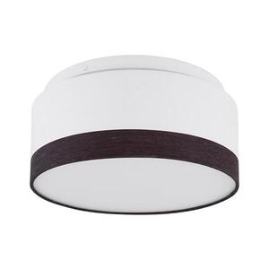 Globo 15385D - LED Stropné svietidlo MAGGY LED/12W/230V 15385D vyobraziť
