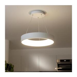 BRILAGI - LED stmievateľný luster na lanku FALCON LED/80W/230V 3000-6500K + diaľkové ovládanie BRKL02R-80W/LED-BI vyobraziť
