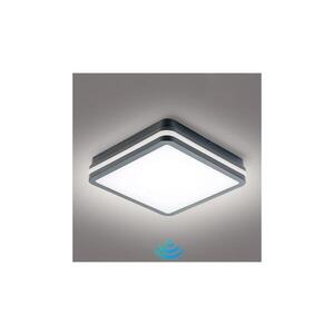 BRILAGI - BENE LED vonkajšie svietidlo so senzorom, 24 W, 230 V, 26x26 cm, IP54 BRI051 vyobraziť