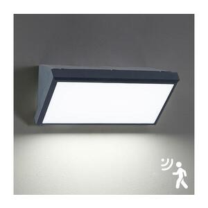 BRILAGI - LED vonkajšie nástenné svietidlo so senzorom TRIANGLE LED/20W/230V antracit BRI069 vyobraziť