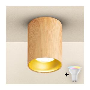 BRILAGI - LED RGBW Stmievateľné bodové svietidlo TRINE 1xGU10/4, 8W/230V dubový dekor BG2125+AI2382 vyobraziť